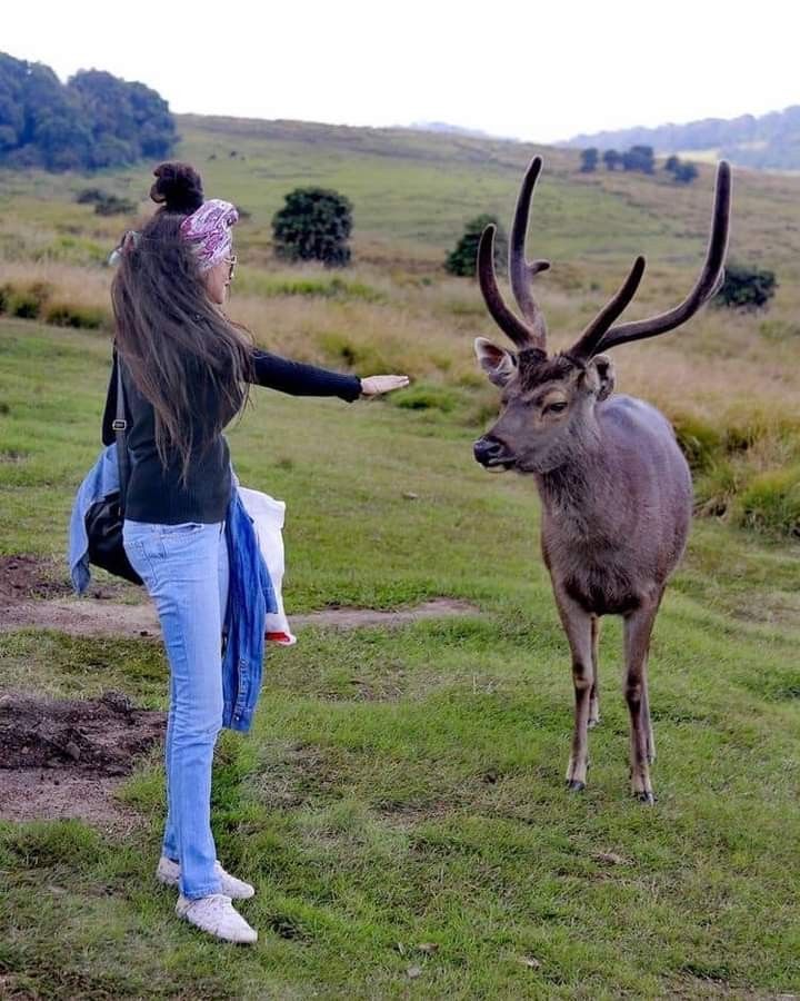 Horton Plains